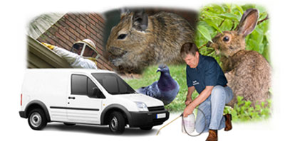 West Lothian local van